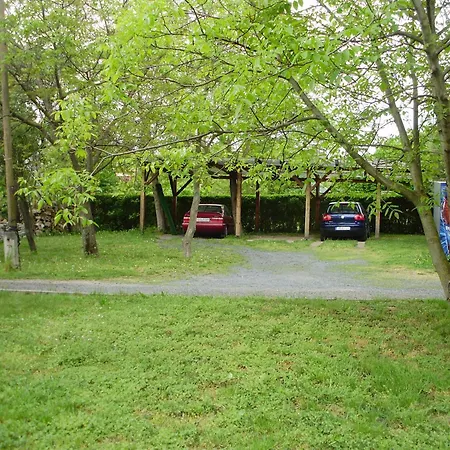 坎帕里住宿加早餐旅馆 住宿加早餐酒店 3*